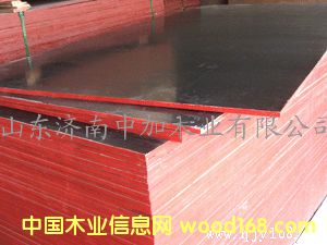 ����ģ���Ԕ����B