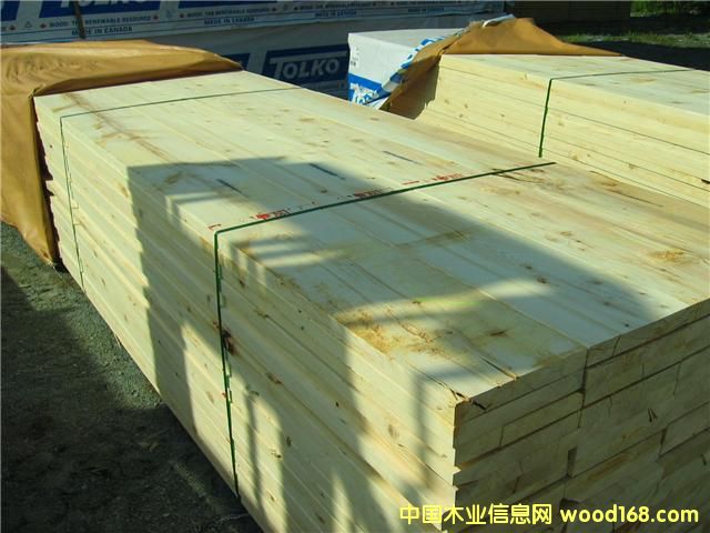 SPF��Ԕ����B