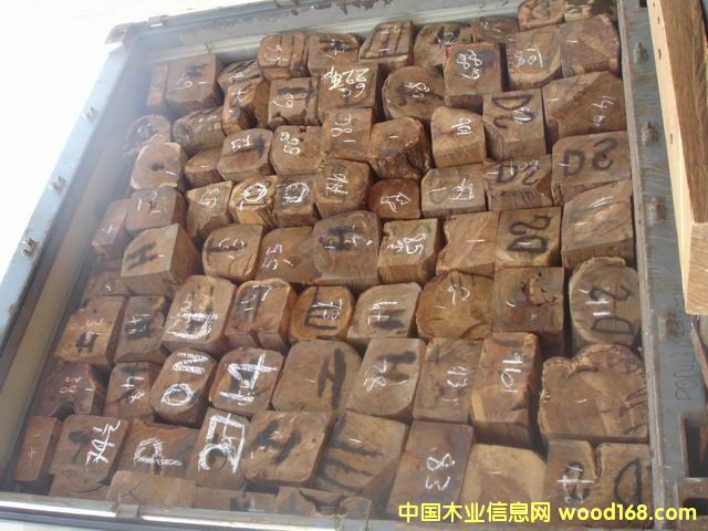 �׃ȁ�������