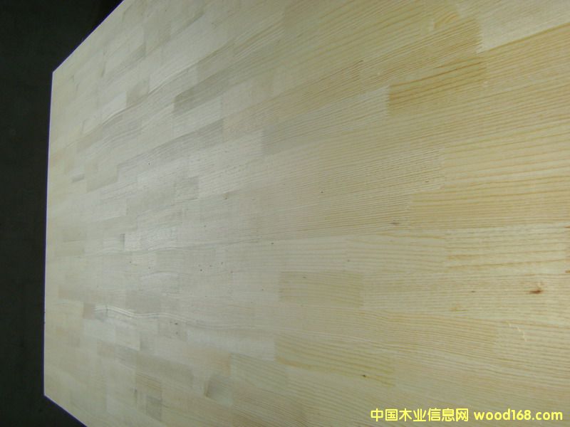 �c���鿴����ָ�ӲķŴ�DƬ