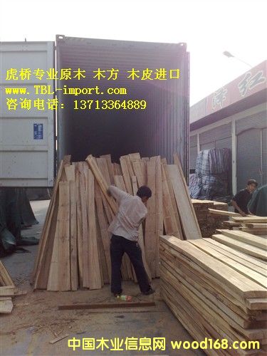 ̩�����zľ�M�ڵ�̫�}�ۈ��P���C��Ҫ��Щ��