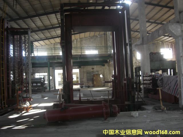 �C���O��-5