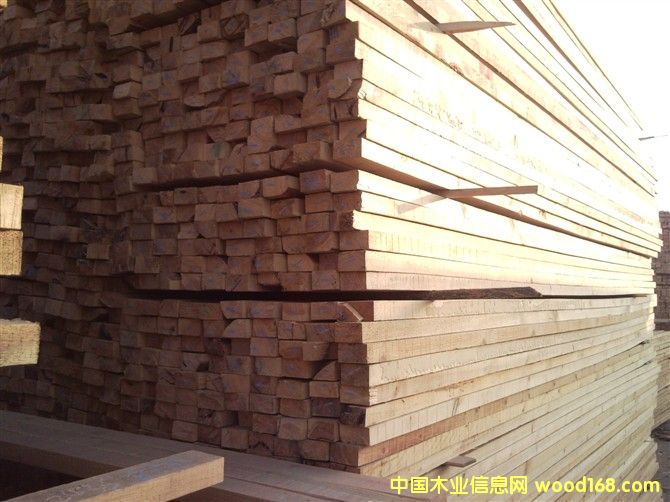 ������ľ��