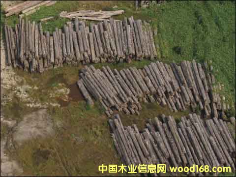 ľ��5��Ԕ��(x��)��B