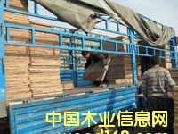 ���|�а� �b܇�F��