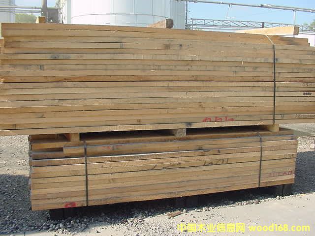 �����t���Ԕ����B