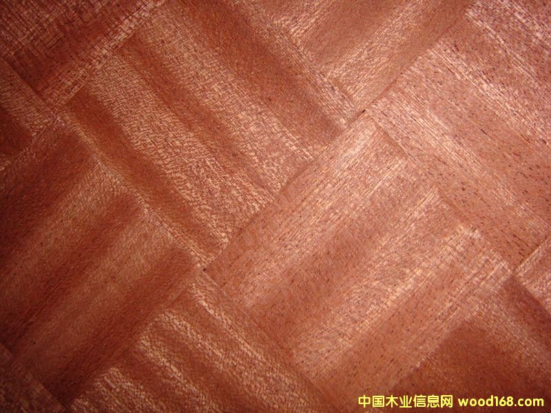 ɳ��������