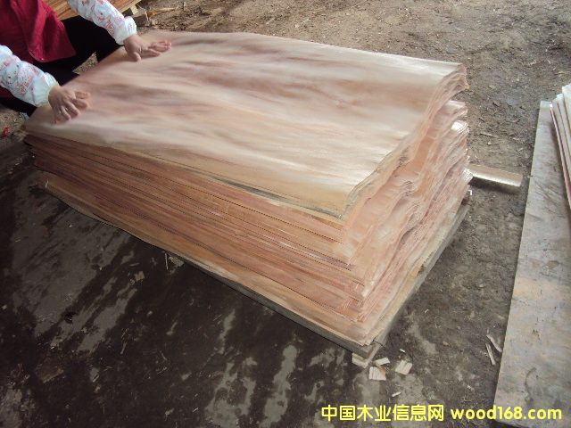 �ذ�Ƥ��Ԕ����B