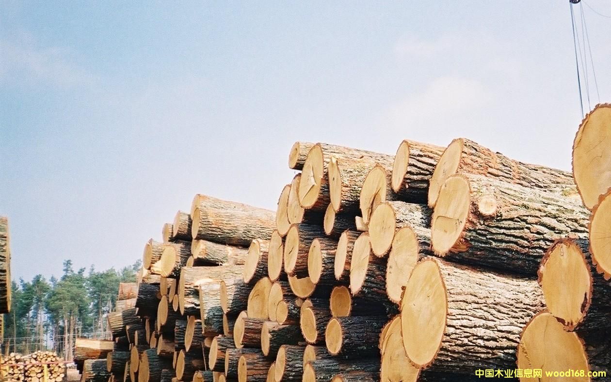 ���_˹��ľ��Ԕ����B