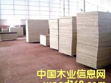 ����ģ���Ԕ��(x��)��B