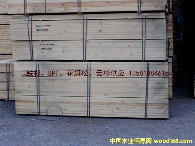 �W��  ��ɼ spruce ���