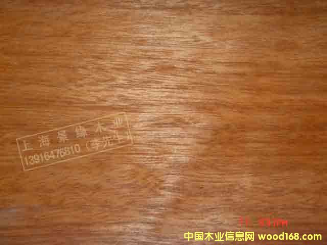 ��¡ľ��Ԕ����B