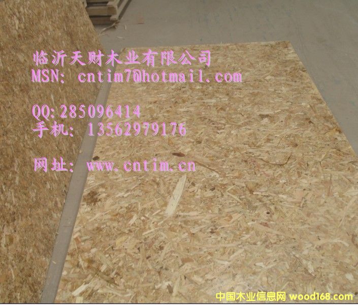 OSB���a���� ���x�R����ؔľ�I13562979176