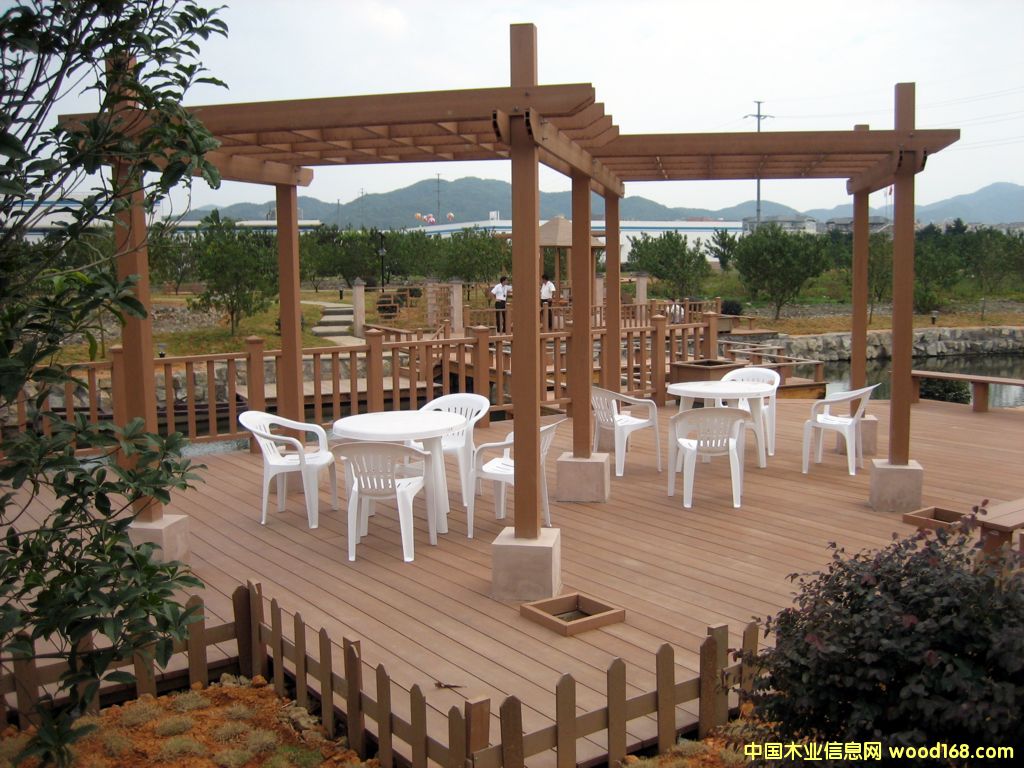 ����ʢ���B�h��ľ