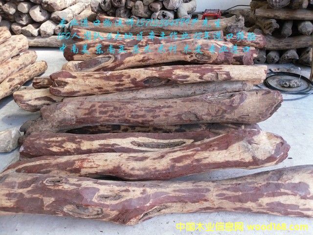 ̫�}���M���R�_��˹���S̴/�Fľ��/��̴�M�ڈ��P