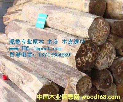 ��ߘ��M��ӡ���ľ/�L܇ľ/���}��ԭľ�M�ڈ��P