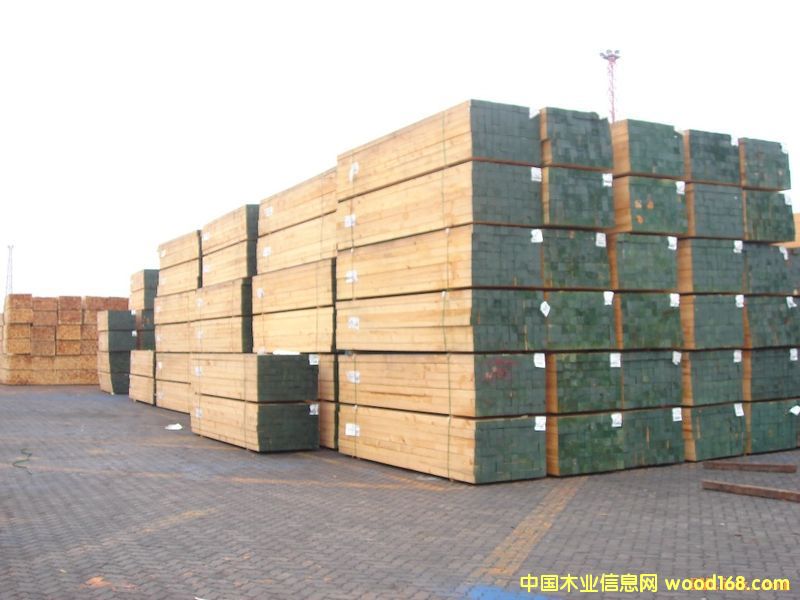 �M��ľ�����ô�ľ��