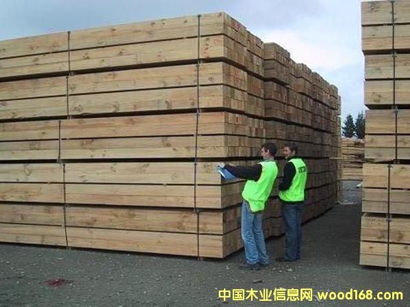 �����mݗ����.jpg2��Ԕ����B