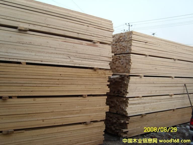 ���Ӱ��Ԕ����B