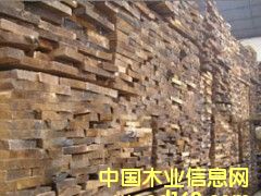 ���~��ľ��