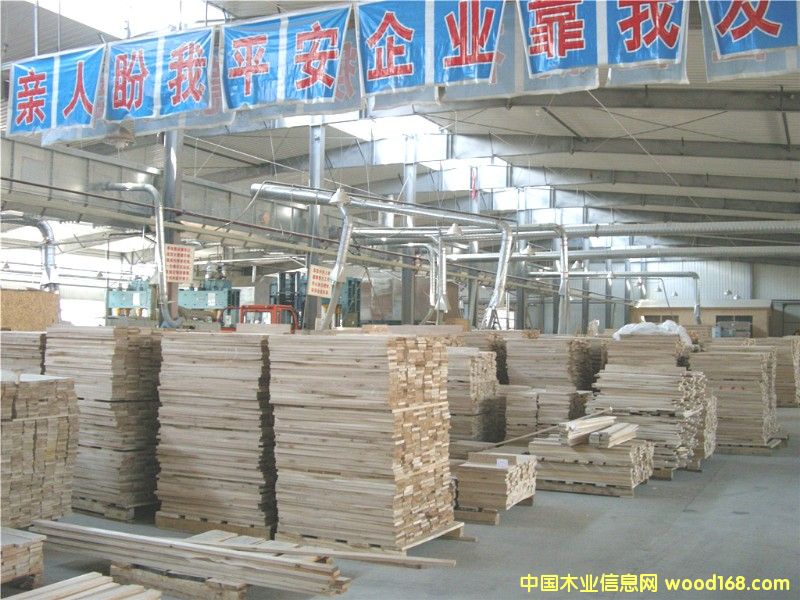 ���ɲ����ٹ��