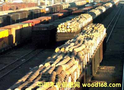 �M(j��n)��ľ��