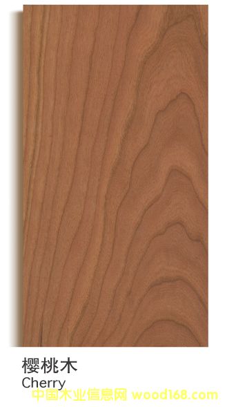 �������Ҍ�ľ�ͺϵذ��Ԕ����B