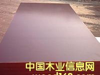 ��Ĥ����ģ���Ԕ��(x��)��B