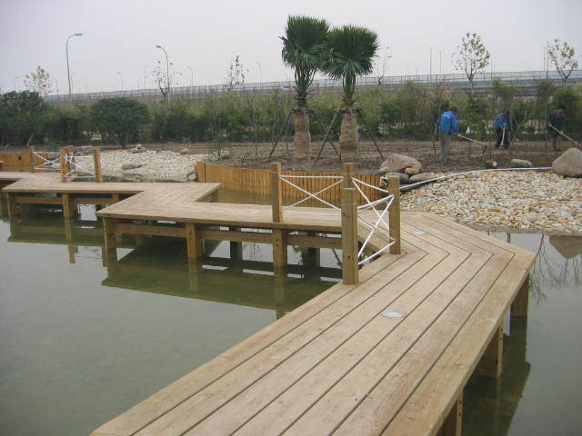 ����ľƽ�_��Ԕ����B