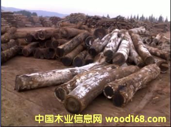 �u���Ԕ����B