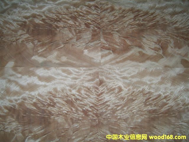 ���Ә�����CHESTNUT BURL