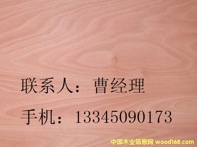 �W�����ΰ��Ԕ����B