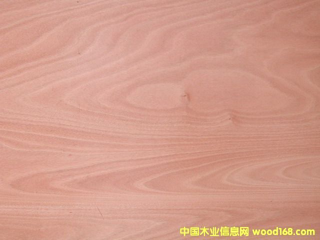 �һ�о�ΰ��Ԕ����B