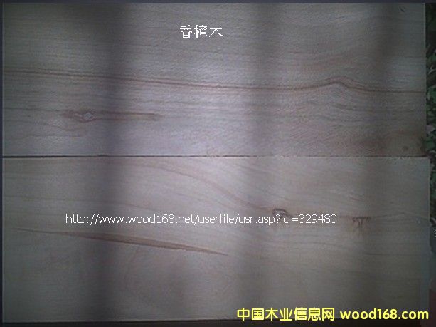 ����ľ��Ԕ��(x��)��B