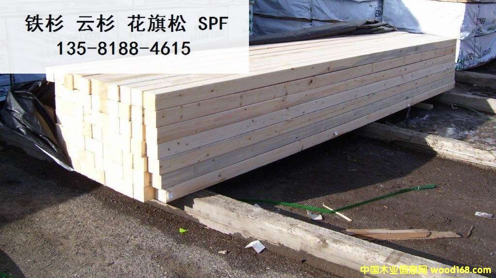 �c(di��n)���鿴SPF ���� #2�Ŵ�DƬ