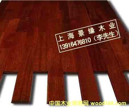 ���޲��}���Ԕ����B