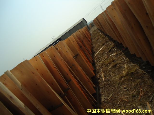 ��ľо�ΰ��Ԕ����B