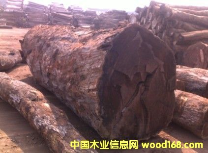 ��Ƥ�ҵ�Ԕ����B