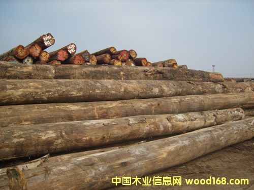 �̈́ڵ�Ԕ��(x��)��B