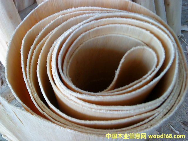 ��ľ�ΰ�����a�^�̵�Ԕ����B