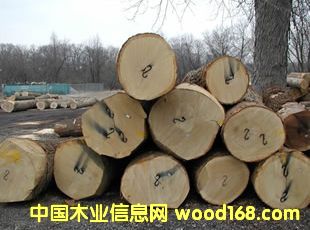 �״�ľԭľ��Ԕ����B