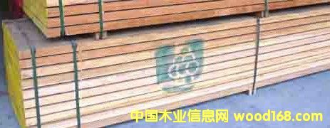 ����ľ��Ԕ����B