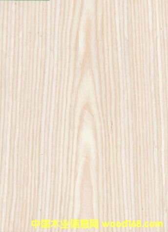 �Ƽ�ľľƤ��Ԕ����B