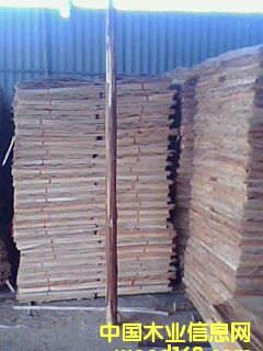 ���ΰ��Ԕ����B