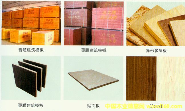 ����ģ���Ԕ����B