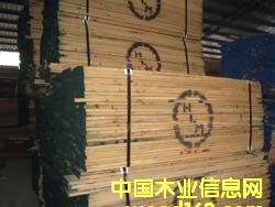 [��] ����(y��ng)7/4 fas �t��