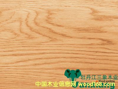 ��ľ����A�����y