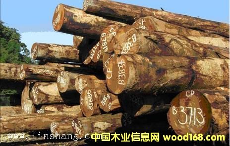 ��ľ���¡����_�T���󏽣�