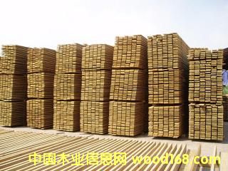 �����Ϸ��ɷ�����