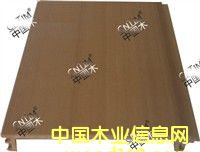 �R��˹�����Bľ100�����컨     